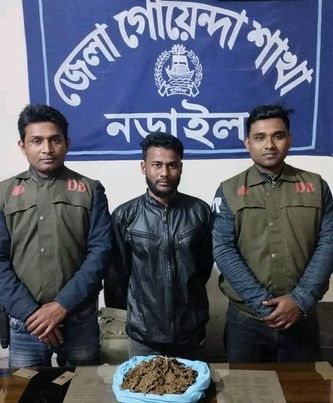 নড়াইলের নড়া গাঁতি ডিবি'র অভিযানে গাঁজা উদ্ধার, গ্রেফতার (১) 