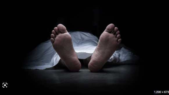 নড়াইলে গণপিটুনিতে ( দুই) ২ জনের মৃত্যু 