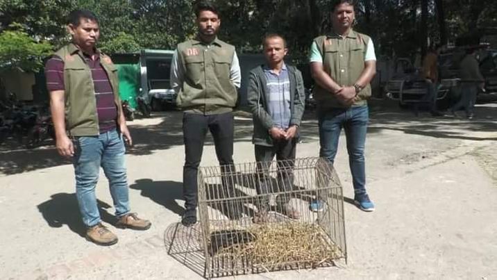 বিলুপ্ত প্রজাতির ভাল্লুক শাবক প্রচার করার সময় এক আটক 