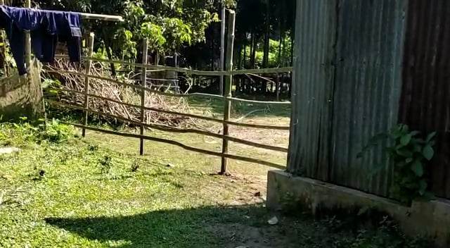 শত বছরের যাতায়াতের রাস্তা বন্ধ করে পুকুরের মাছ উঠিয়ে নেওয়ার অভিযোগ: ব্যবস্থা নেননি পুলিশ