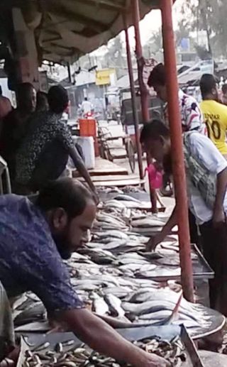 আমতলীতে প্রকাশ্যে চলছে ঝাঁটকা কেনাবেচা 