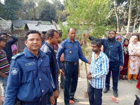 ঠাকুরগাঁওয়ে গাঁজার গাছসহ আটক ১ 