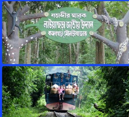 সিলেট বিভাগীয় বন কর্মকর্তা রেজাউল করিম চৌধুরীর হস্তক্ষেপে লাউয়াছড়ায় ট্রেনের গতি কমালো বাংলাদেশ রেলওয়ে 