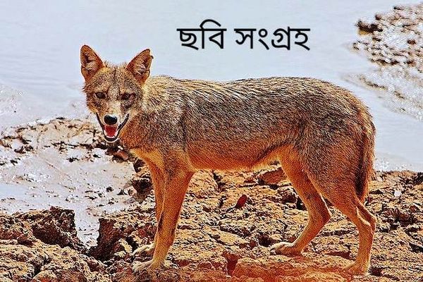 আত্মার পরিশুদ্ধি প্রশান্তির সূত্রছায়া।