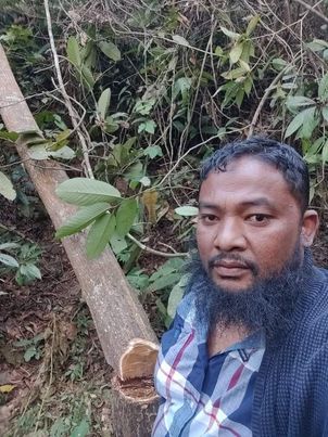 বমু বিলছড়ির সামাজিক বনায়ন কেটে সাবাড় করে দিচ্ছে একশ্রেনীর চোরাকারবারি সিন্ডিকেট। বিট অফিসারের নিরব ভূমিকা।