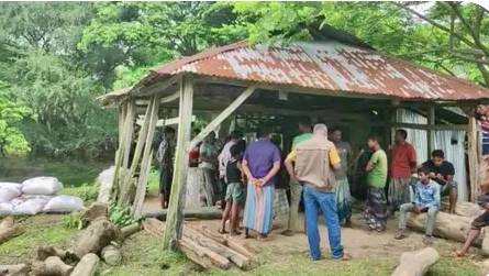রাঙ্গাবালীতে বন বিভাগের ১০ পিস গাছ উদ্ধার করা হয়েছে 