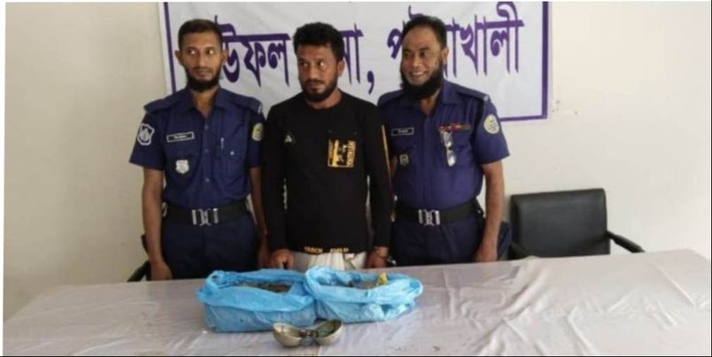 বাউফলে গাঁজা সহ যুবক আটক