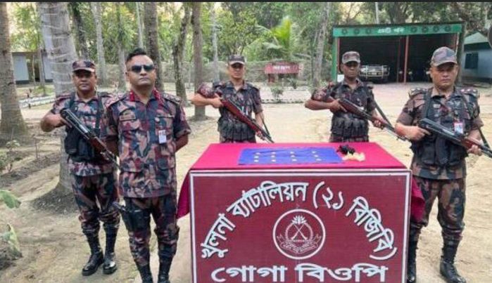 শার্শায় বিজিবির অভিযানে ১২টি স্বর্ণের বার জব্দ