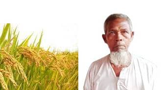 লালমনিরহাটে মসজিদের জমির ধান চুরি করে কাটার অভিযোগ! 