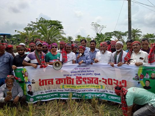 পটুয়াখালীতে কৃষকের ধান কাটতে পাশে দাঁড়িয়েছে জেলা কৃষক লীগ।