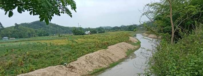 লামার ইয়াংছা খাল পুনঃখননঃ সুফল পাচ্ছে ১১গ্রামের মানুষ