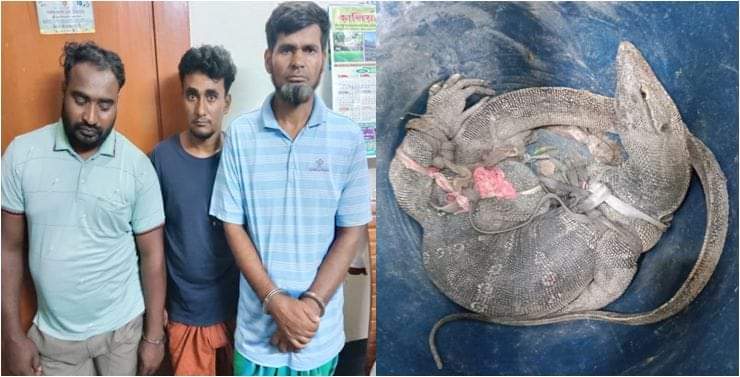 নড়াইলে বন্যপ্রাণী সংরক্ষণ আইনে ৩ জনকে ভ্রাম্যমান আদালতে কারাদণ্ড ও জরিমানা। 