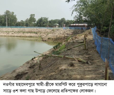 সাড়ে ৩শ কলার গাছ নিধনের অভিযোগ মহাদেবপুরে জমি জমা সংক্রান্ত বিরোধে স্বামী-স্ত্রীকে মারপিট
