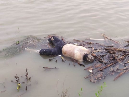 গড়াই নদী থেকে অজ্ঞাত ব্যক্তির মরদেহ উদ্ধার