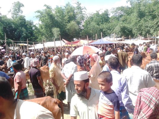 কুমিল্লার ঐতিহ্যবাহী বরকইট বাজারে বৃহৎ গরু-ছাগলের হাট 