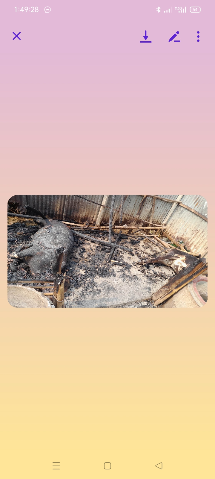 সখীপুরে আগুনে পুড়লো ঘরসহ ২টি গরু 