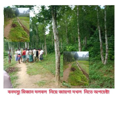 বমু বনবিভাগের সামাজিক বনায়নের জায়গা জবরদখল করার অভিযোগ। 