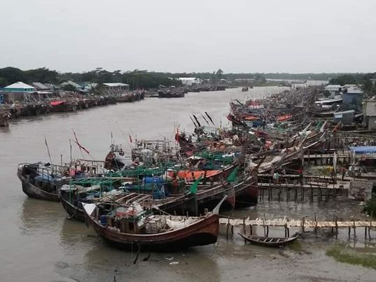 `মধ্য রাত থেকে নিষিদ্ধ হচ্ছে ইলিশ শিকার ``