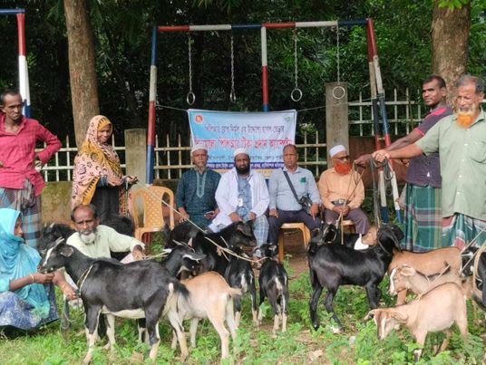 কালিয়াকৈরে ৯ দিনব্যাপী বিনামূল্যে ছাগলের পি পি আর ভ্যাকসিন প্রদান ক্যাম্পেইন সমাপ্ত।