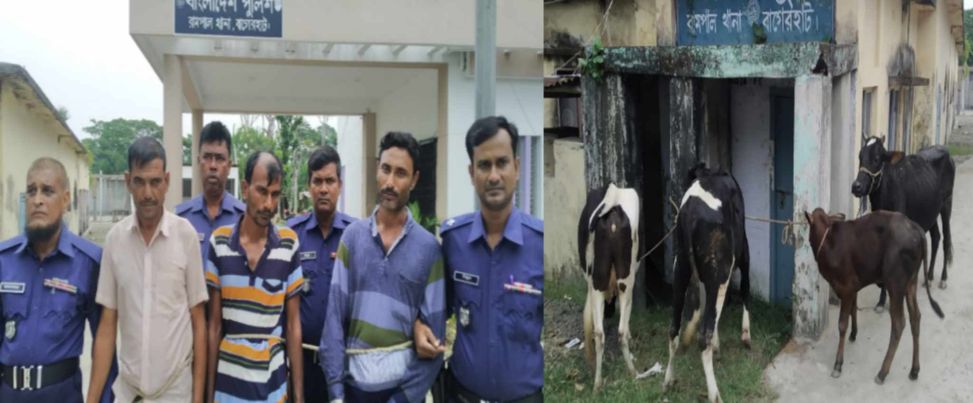রামপালে চারটি গরুসহ ৩ পেশাদার চোর আটক