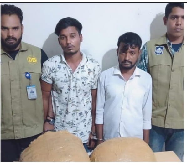 অষ্টগ্রামে ৮ কেজি গাঁজাসহ দুই মাদক ব্যবসায়ী গ্রেফতার