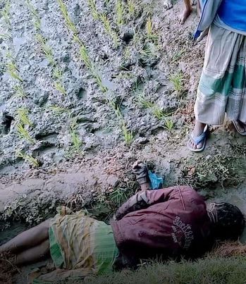 নবীনগরে চাষের জমি থেকে ভ্যানচালক এর মরদেহ উদ্ধার