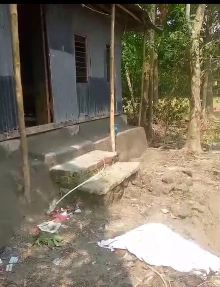 চরবিশ্বাসে ভয়াবহ দখল-তাণ্ডব: অস্ত্রের মুখে শতাধিক গাছ কেটে নিয়ে গেল দুষ্কৃতিকারীরা