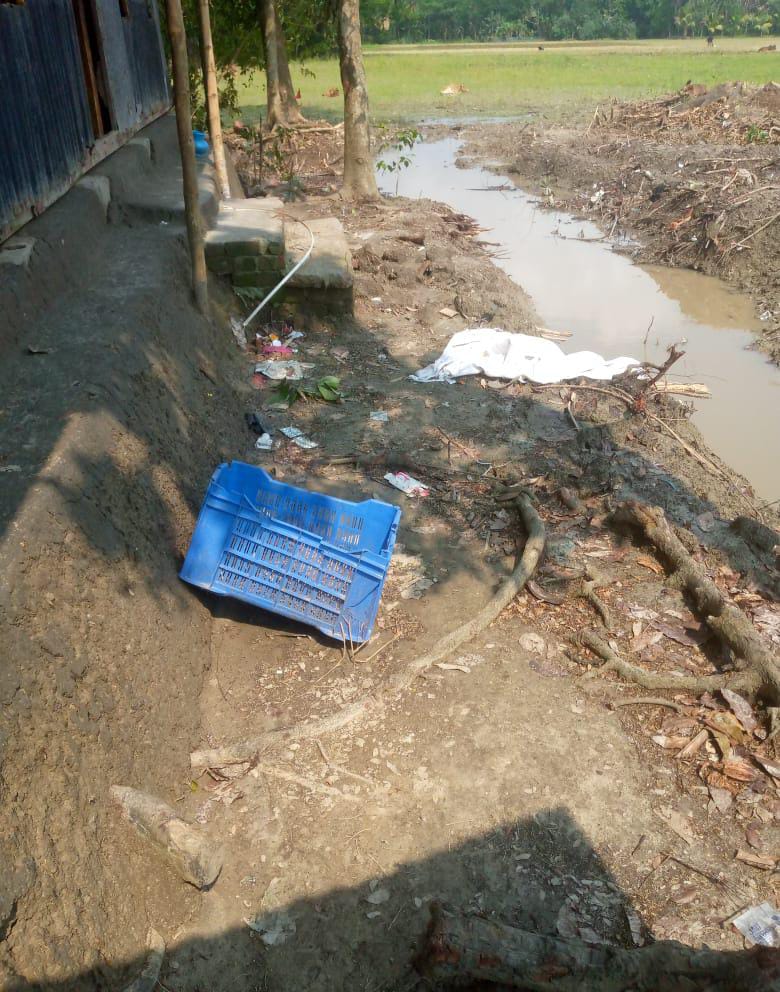 পটুয়াখালীর চরবিশ্বাসে ভয়াবহ দখল-তাণ্ডব: অস্ত্রের মুখে শতাধিক গাছ কেটে নিয়ে গেল দুষ্কৃতিকারীরা