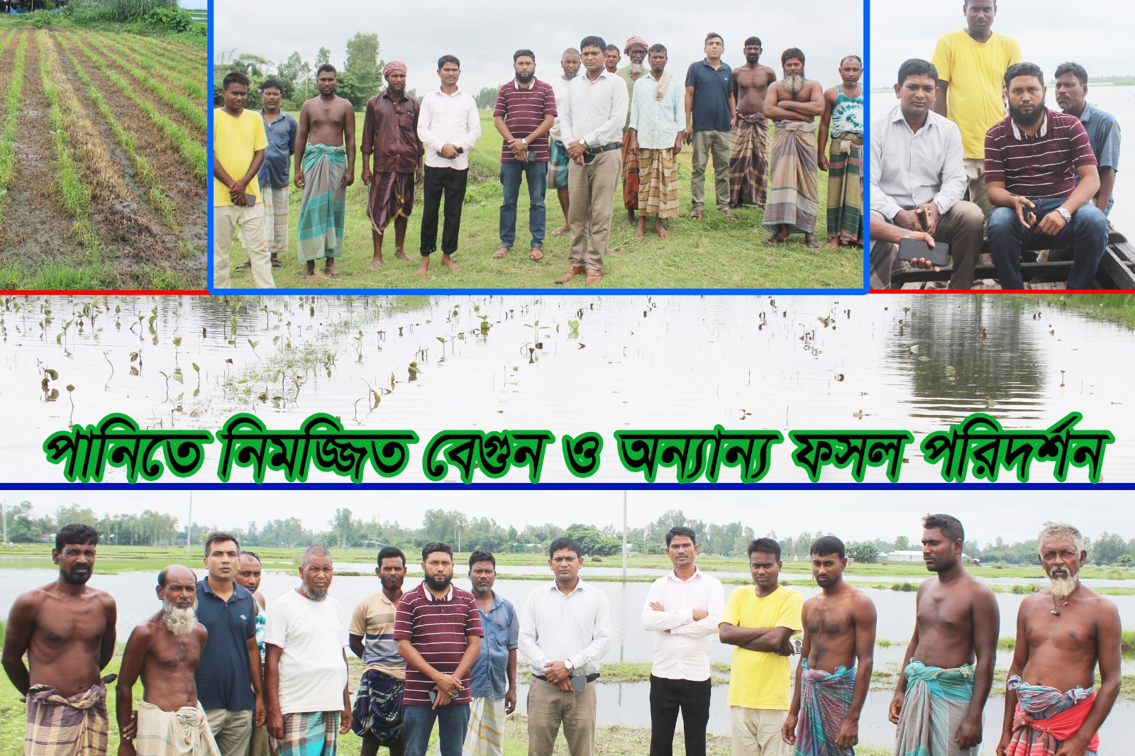 বন্যায় ক্ষতিগ্রস্ত দেরশ একর বেগুন ক্ষেত, হতাশ কৃষকরা সরকারি সহযোগিতা প্রত্যাশী