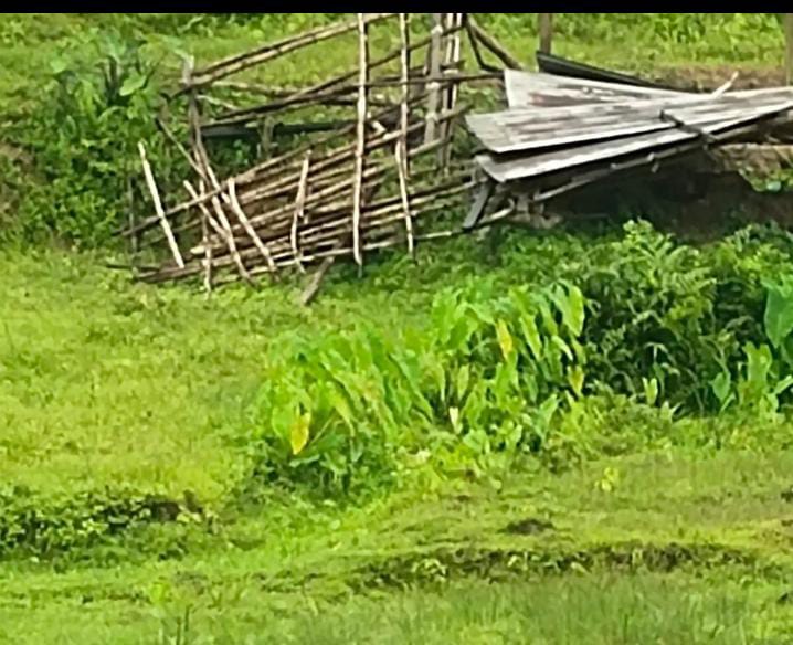 রাঙ্গুনিয়ায় সংরক্ষিত বনভূমি দখল ও সরকারি সম্পদ লুটের অভিযোগ: তদন্তের দাবি